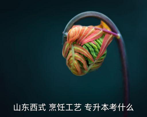 自考專升本烹飪,山西高等學(xué)府烹飪技專升本將分三個專業(yè)報考