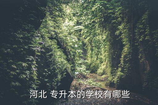  河北 專(zhuān)升本的學(xué)校有哪些