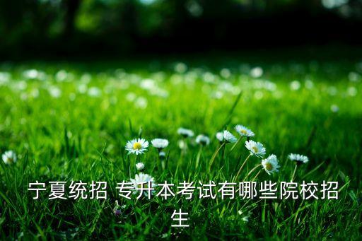 寧夏理工專(zhuān)升本錄取,寧夏高等學(xué)府招生計(jì)劃
