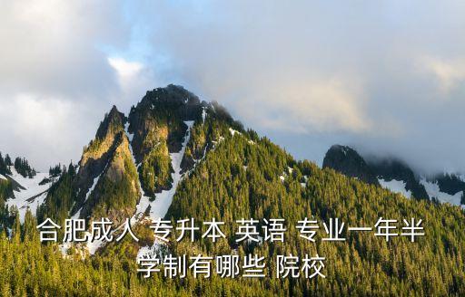 英語專業(yè)專升本院校,專升本報(bào)名條件出爐符合條件者可報(bào)名參加