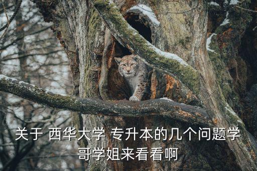 關(guān)于 西華大學(xué) 專升本的幾個問題學(xué)哥學(xué)姐來看看啊
