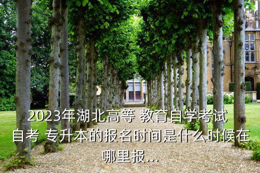 2023年湖北高等 教育自學考試 自考 專升本的報名時間是什么時候在哪里報...