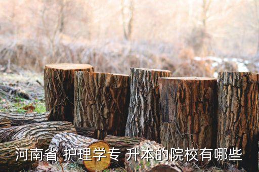 河南省 護(hù)理學(xué)專 升本的院校有哪些