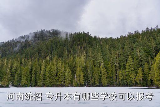 周口師院專升本財務(wù)管理