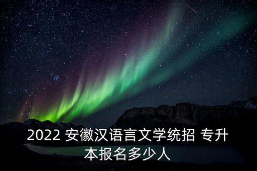 2022 安徽漢語言文學(xué)統(tǒng)招 專升本報名多少人