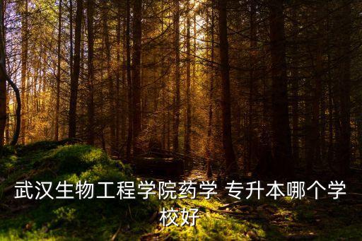 武漢生物工程學(xué)院藥學(xué) 專升本哪個(gè)學(xué)校好