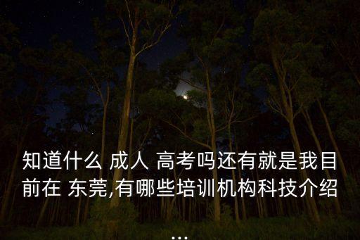 知道什么 成人 高考嗎還有就是我目前在 東莞,有哪些培訓(xùn)機構(gòu)科技介紹...