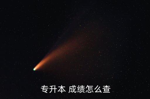  專升本 成績怎么查
