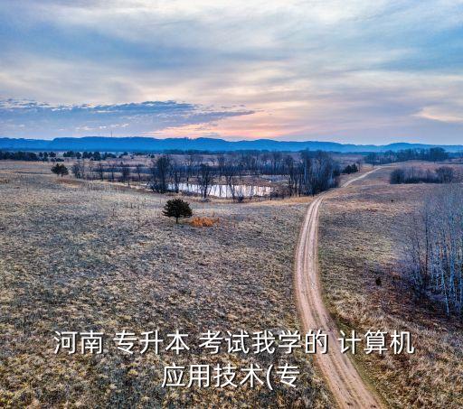  河南 專(zhuān)升本 考試我學(xué)的 計(jì)算機(jī)應(yīng)用技術(shù)(專(zhuān)