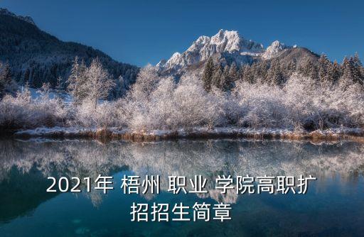 2021年 梧州 職業(yè) 學(xué)院高職擴(kuò)招招生簡章