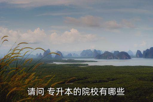 請(qǐng)問(wèn) 專升本的院校有哪些