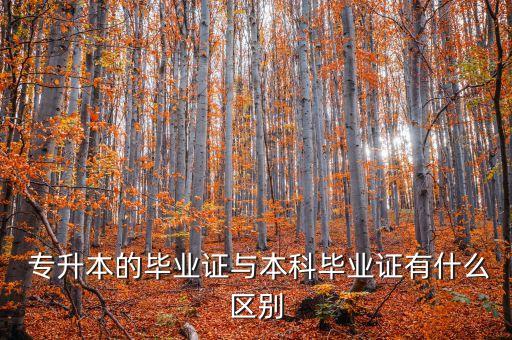  專升本的畢業(yè)證與本科畢業(yè)證有什么區(qū)別