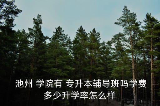  池州 學院有 專升本輔導班嗎學費多少升學率怎么樣