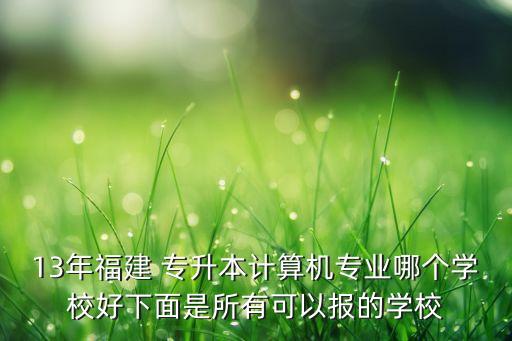 13年福建 專(zhuān)升本計(jì)算機(jī)專(zhuān)業(yè)哪個(gè)學(xué)校好下面是所有可以報(bào)的學(xué)校
