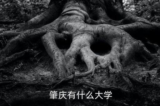  肇慶有什么大學