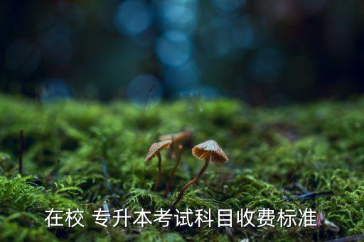在校 專升本考試科目收費標準