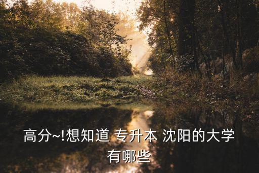 高分~!想知道 專升本 沈陽的大學(xué)有哪些