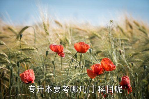  專升本要考哪幾門(mén) 科目呢