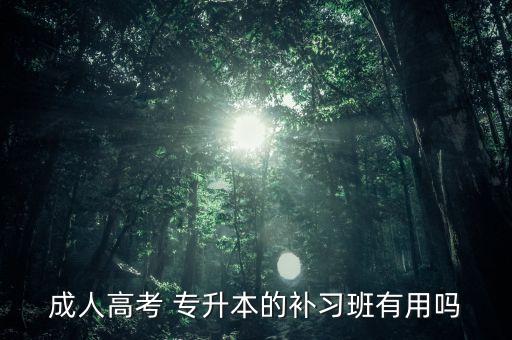 成人高考 專(zhuān)升本的補(bǔ)習(xí)班有用嗎