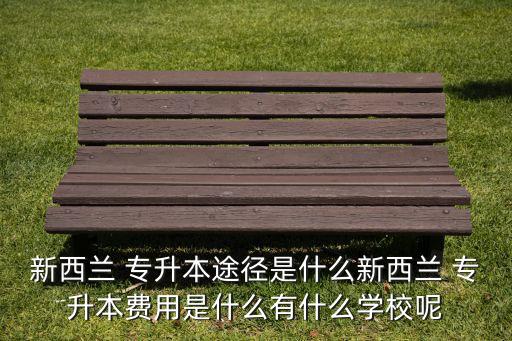 新西蘭 專(zhuān)升本途徑是什么新西蘭 專(zhuān)升本費(fèi)用是什么有什么學(xué)校呢