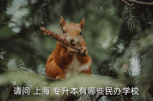 上海有哪些本科專(zhuān)升本,上海專(zhuān)升本的民辦本科學(xué)校