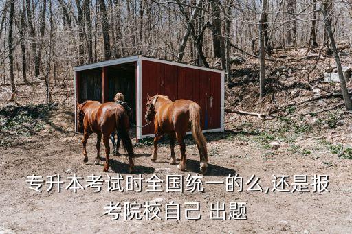 海南專(zhuān)升本哪里出題