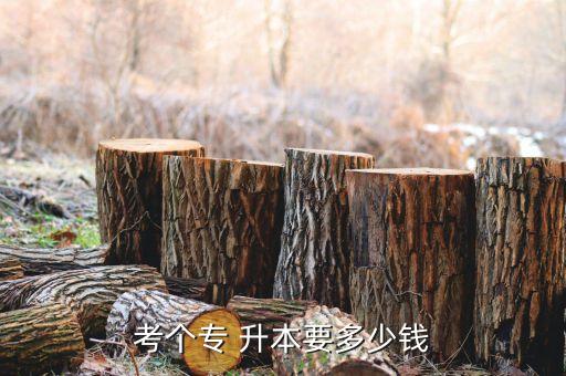 考個(gè)專 升本要多少錢(qián)