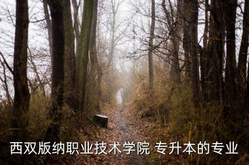 泰語(yǔ)可以專(zhuān)升本嗎,應(yīng)用泰語(yǔ)專(zhuān)升本考試科目