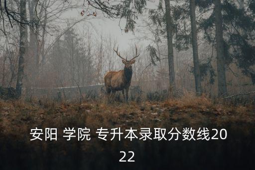  安陽 學(xué)院 專升本錄取分?jǐn)?shù)線2022