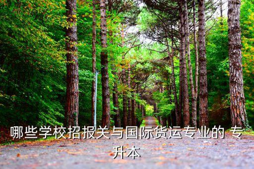 哪些學校招報關(guān)與國際貨運專業(yè)的 專升本