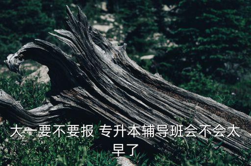 大一要不要報 專升本輔導(dǎo)班會不會太早了