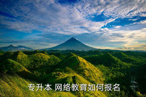 專升本網(wǎng)絡(luò)考試