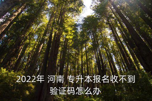 2022年 河南 專升本報(bào)名收不到驗(yàn)證碼怎么辦