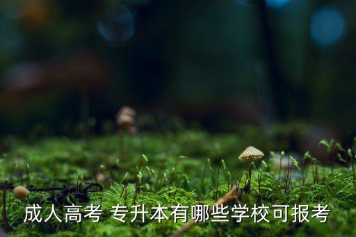 成人高考 專升本有哪些學(xué)?？蓤罂? class=