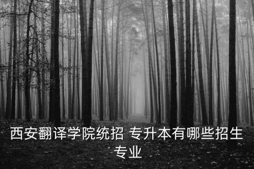 陜西專(zhuān)升本英語(yǔ)專(zhuān)業(yè)