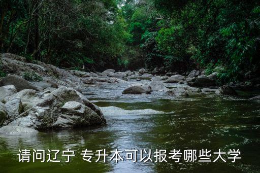 請問遼寧 專升本可以報考哪些大學