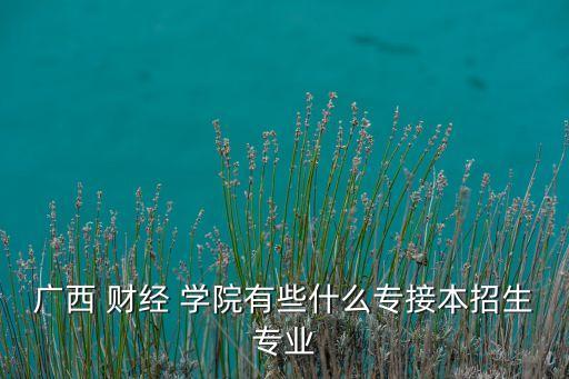 廣西 財經(jīng) 學院有些什么專接本招生專業(yè)