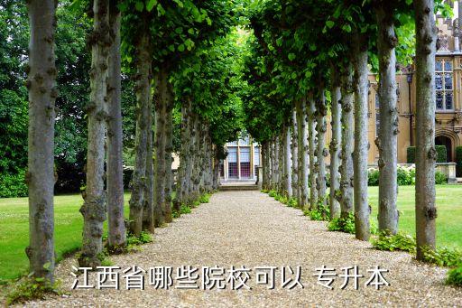 江西省哪些院?？梢?專升本