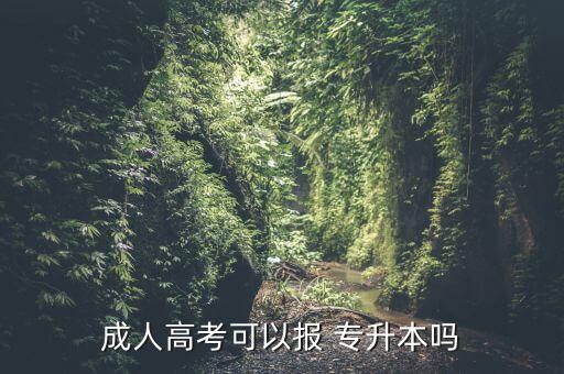 成人高考可以報(bào) 專(zhuān)升本嗎