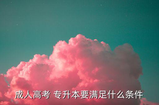 成招專升本,比亞迪招專升本嗎