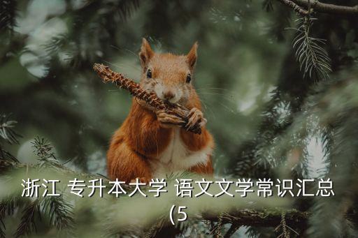浙江 專升本大學 語文文學常識匯總(5