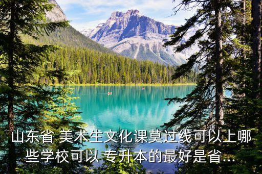 400分美術(shù)生能上哪的專升本