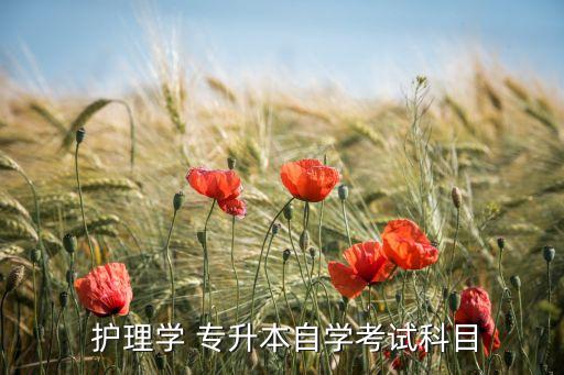  護(hù)理學(xué) 專升本自學(xué)考試科目
