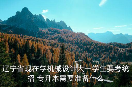 遼寧省現(xiàn)在學(xué)機(jī)械設(shè)計(jì)大一學(xué)生要考統(tǒng)招 專升本需要準(zhǔn)備什么