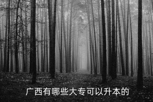  廣西有哪些大?？梢陨镜? class=