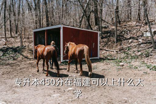 閩江學院3 2專升本分數(shù)線,福建專升本閩江學院分數(shù)線