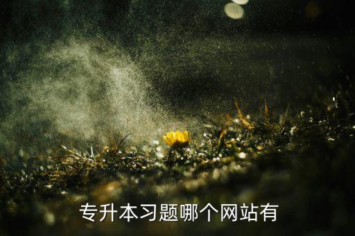 廣東成考專(zhuān)升本真題及答案,2022年成考專(zhuān)升本英語(yǔ)真題