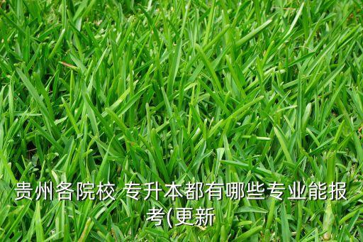 貴州各院校 專升本都有哪些專業(yè)能報(bào)考(更新