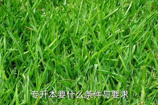 專升本簡章,攀枝花學院2023年專升本簡章