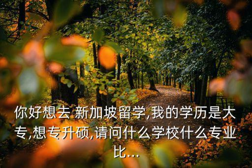 你好想去 新加坡留學(xué),我的學(xué)歷是大專,想專升碩,請(qǐng)問什么學(xué)校什么專業(yè)比...